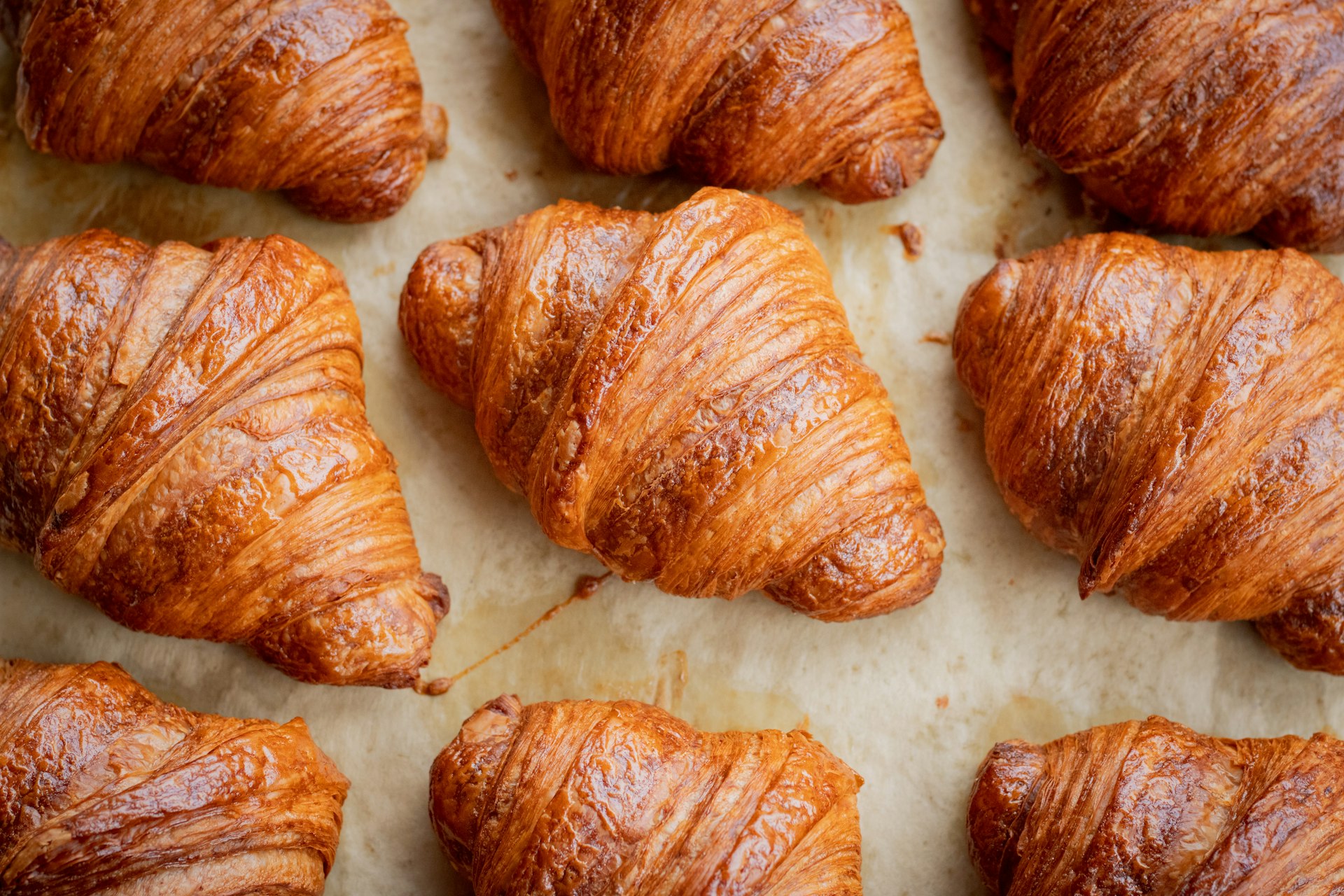 Croissants recién horneados sobre papel de hornear