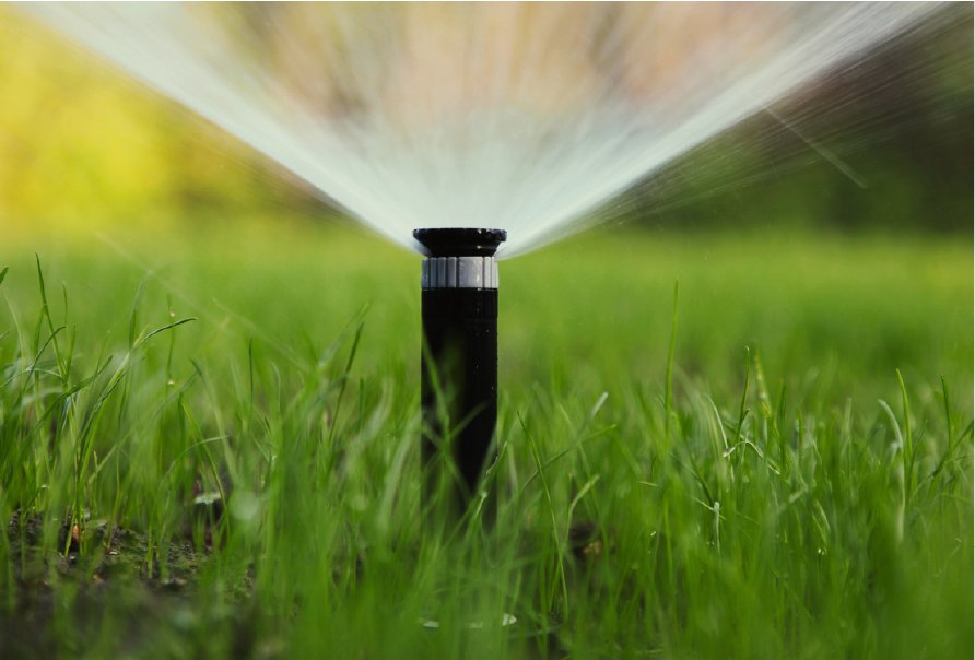 Sprinkler watering a green lawn