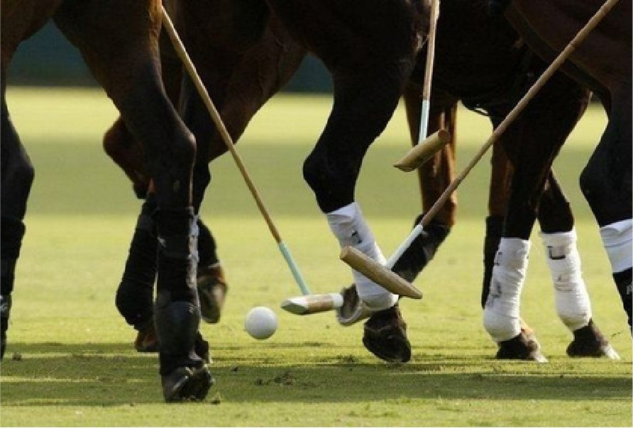 Polo match on a maintained field