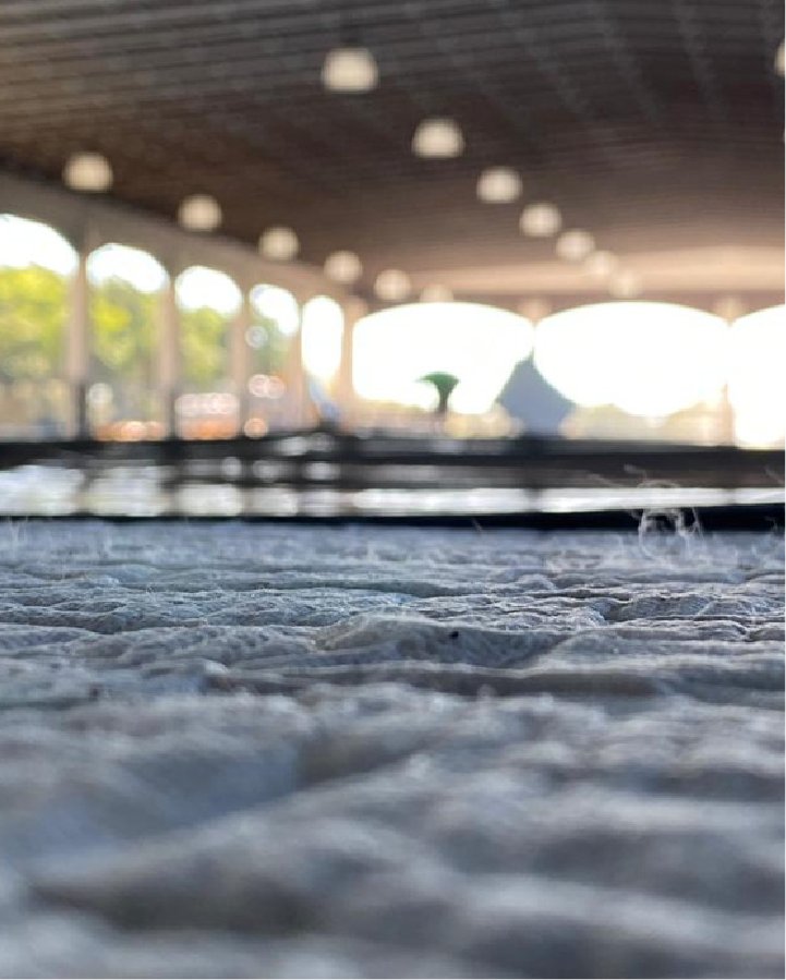 Close-up of arena footing