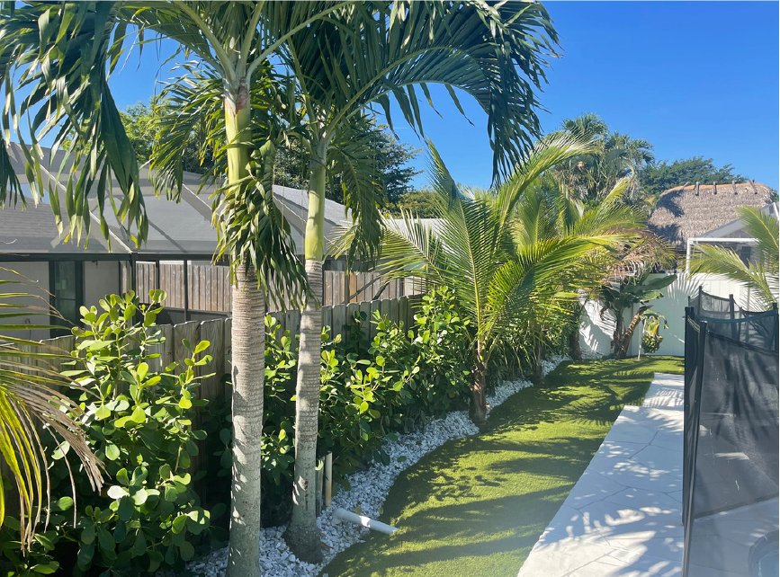 Side yard with palms and a white stone path
