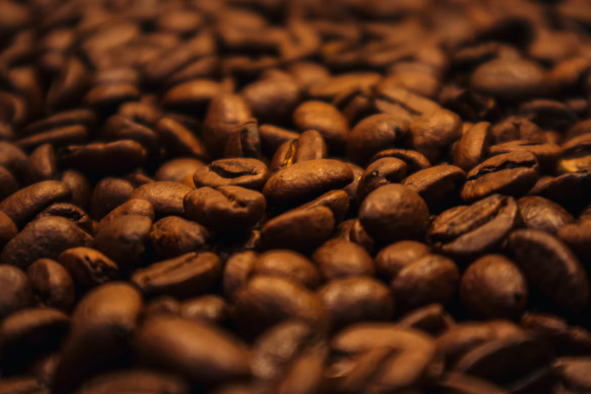 Informe gratis de cafés de especialidad